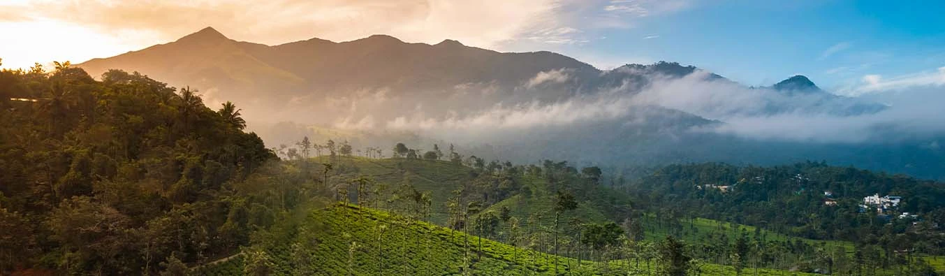 tour packages banner