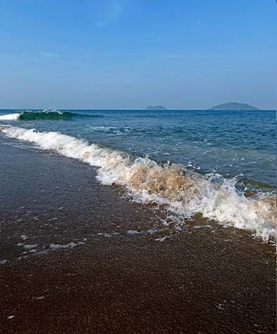 Malabar to Konkan Coastal Tour