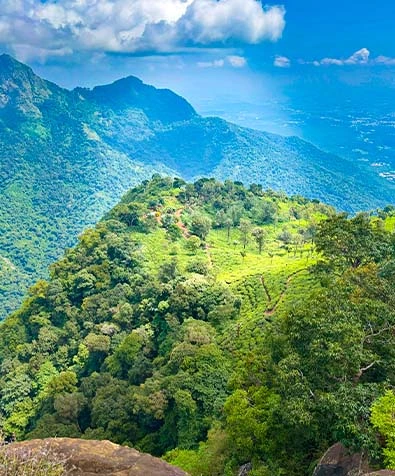 Mysore & Nilgiri Hills Getaway