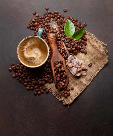 Coorg’s Coffee and Cultural Riches