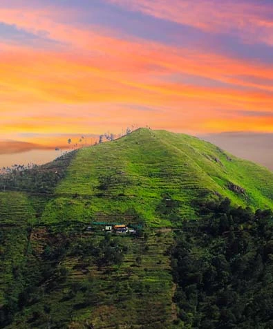 Madurai to Kodaikanal: Hill Station Escape