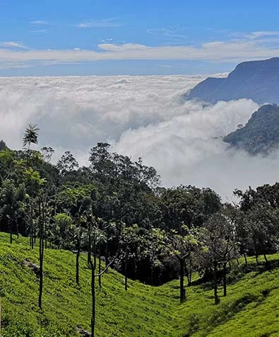 Nilgiri Hills & Heritage Trail