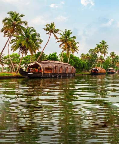 Backwater Bliss & Cochin Experience