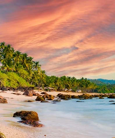 Kerala's Scenic & Coastal Journey