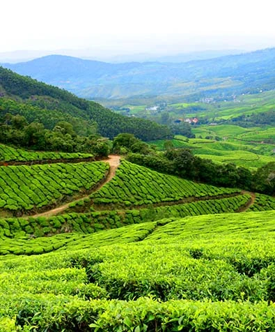 Kerala Heritage Route