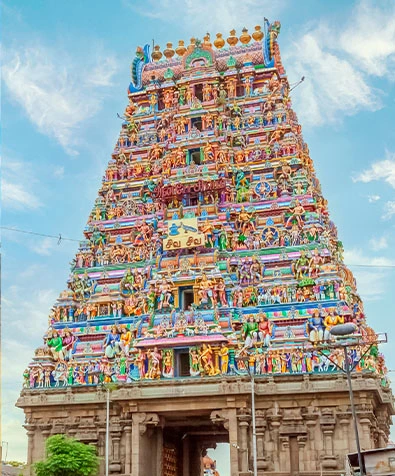 Southern Tranquility Trail