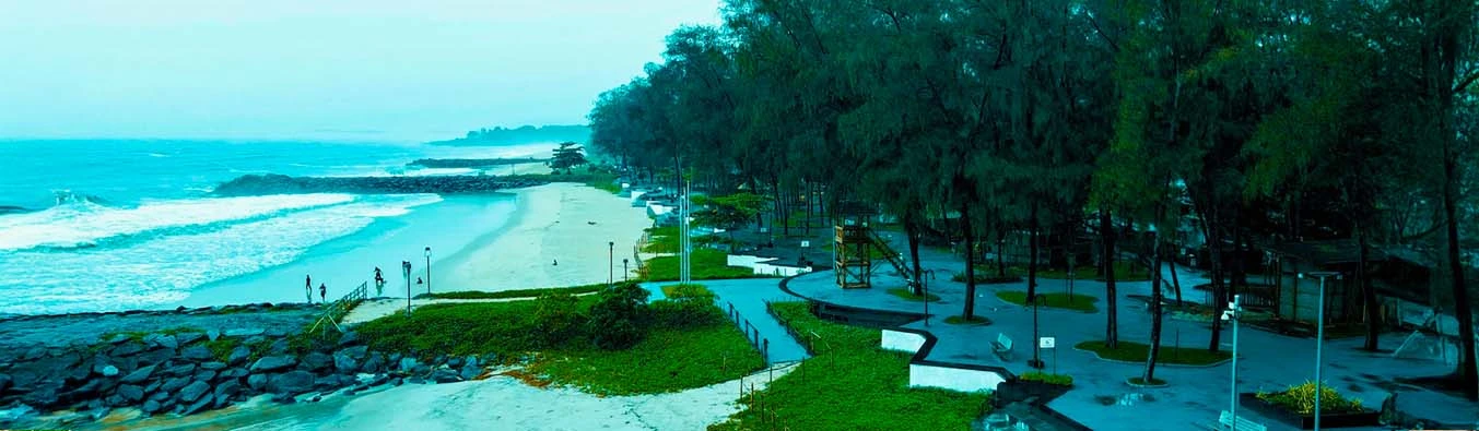 tour packages banner