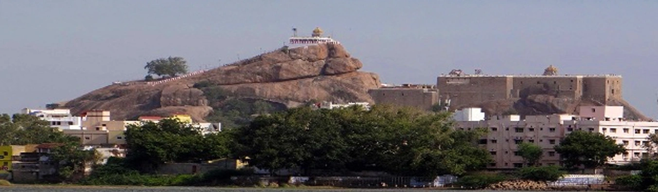 tour packages banner