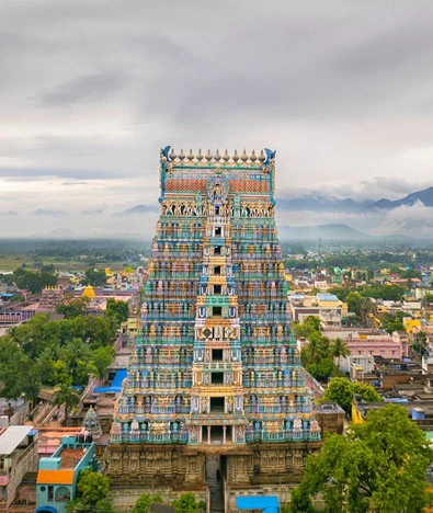 Sacred South: Temples, Tranquility & Transects