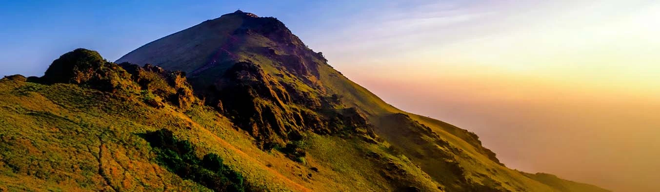 tour packages banner