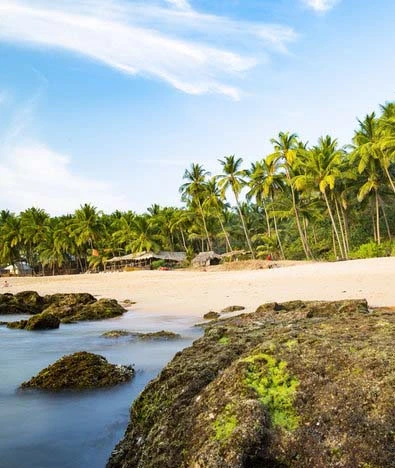 Sun, Sand, and Serenity