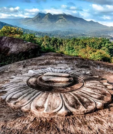 Wayanad Serenity & Calicut Charm