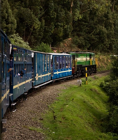 Nature’s Bounty: Shores, Spices, and Scenic Peaks