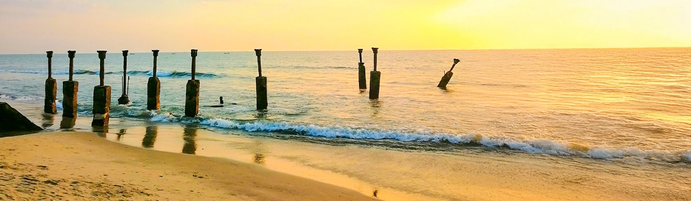 tour packages banner