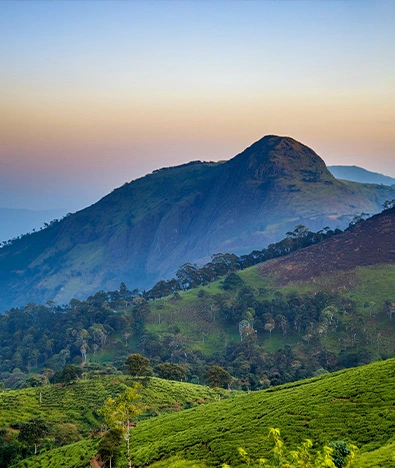 Hills and Valleys of South India