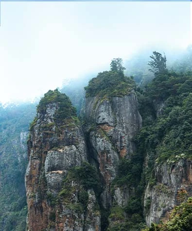 Southern Treasures Tour