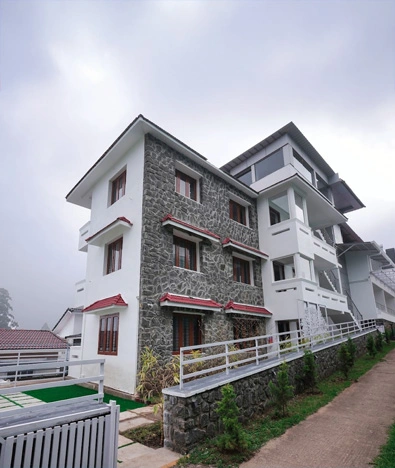 Fressotal Tanzanite by TGI