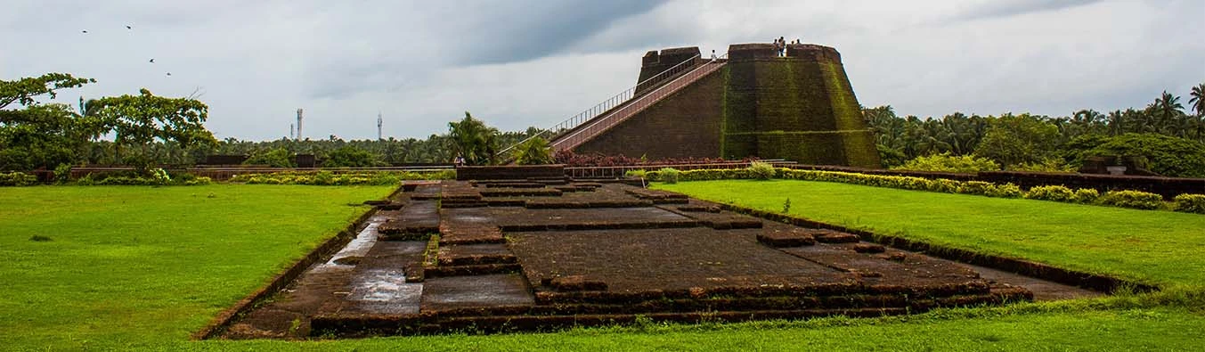 tour packages banner