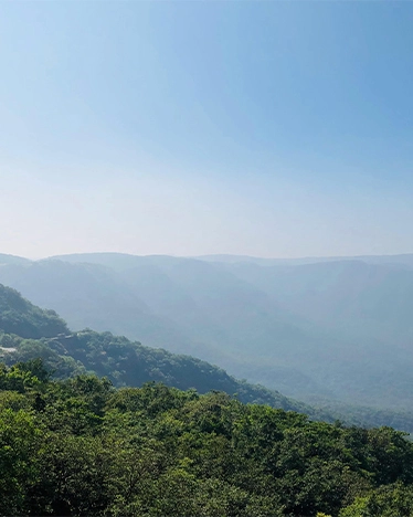 Southern Highland Delight