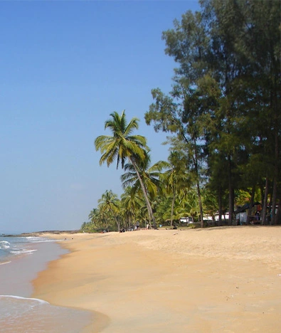 Coastal Bliss to Hilltop Wonders