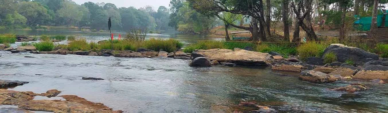 tour packages banner