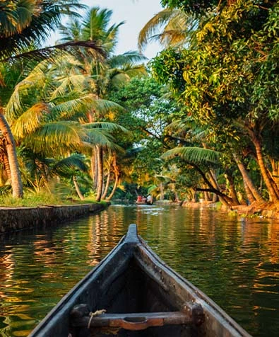 Kerala Bliss & Backwaters Tour
