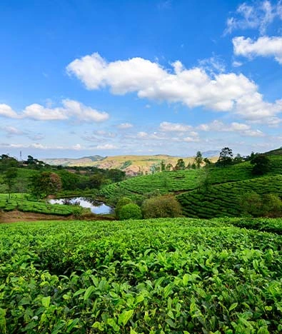 Vagamon