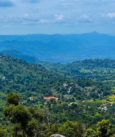 Yelagiri