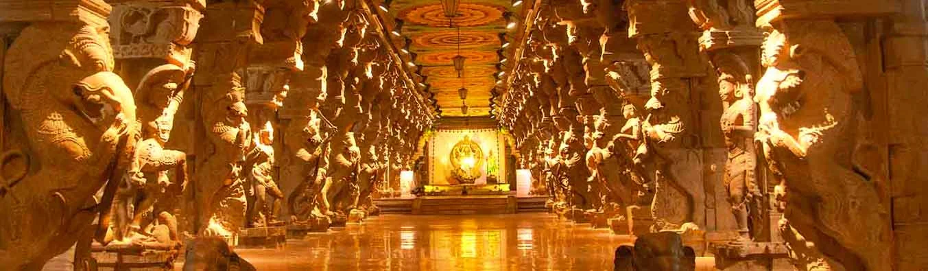 tour packages banner