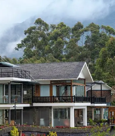 Chandys Drizzle Drops