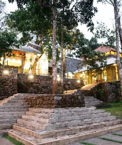 SpiceTree Rajakumari