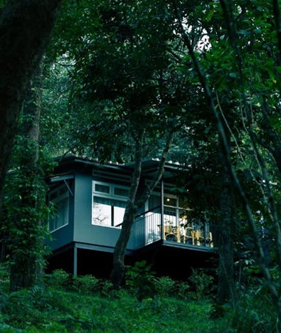 Wayanad Wild, CGH Earth
