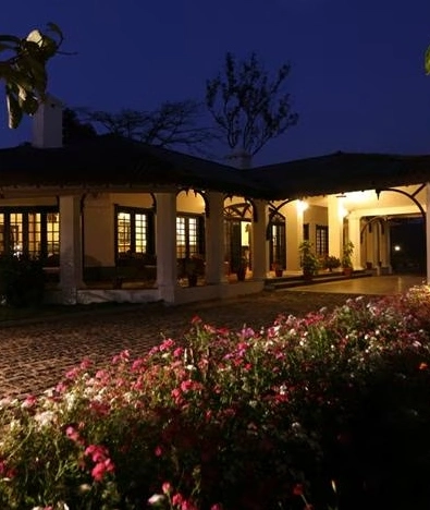 Parisons Plantation Experiences by Abad