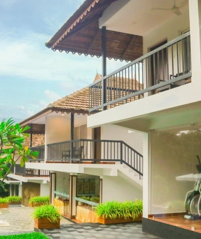 Athirappilly Green Trees