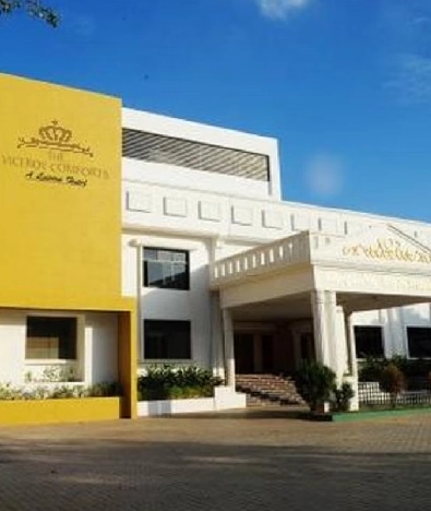 The Viceroy Comforts