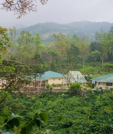 Ibex Resorts, Valparai (Mistly)