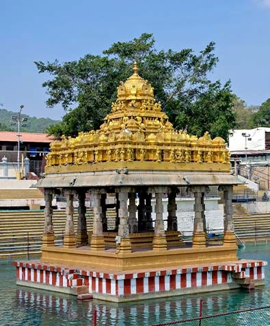 Tirupati Pilgrimage