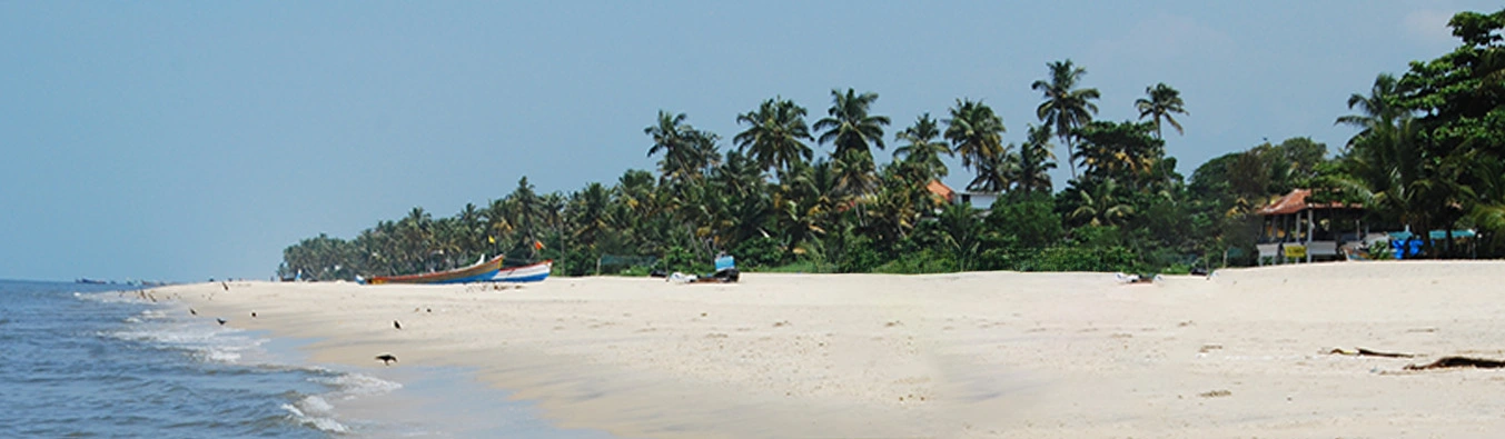 tour packages banner