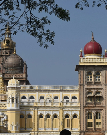 Mysore Delight