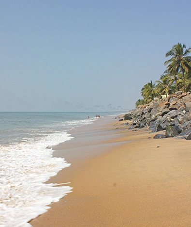 From Shores to Coffee Highlands