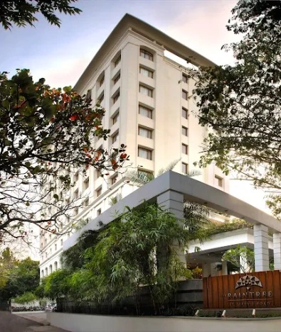The Raintree