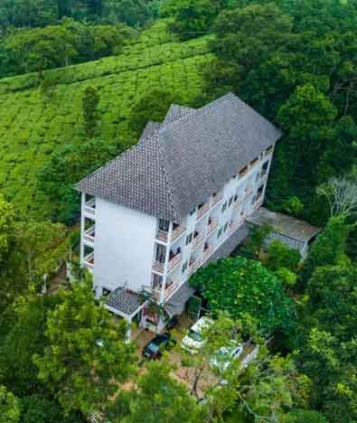 Tea Harvester Munnar