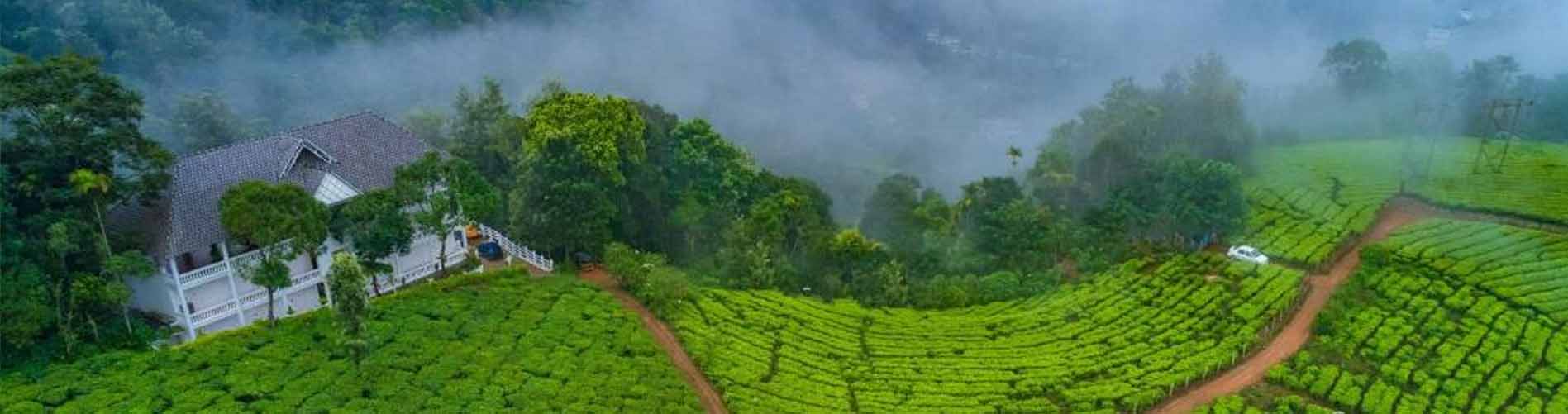 Tea Harvester Munnar banner